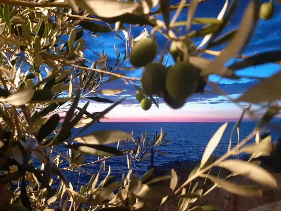 Apartments Marina يوتجيها المظهر الخارجي الصورة