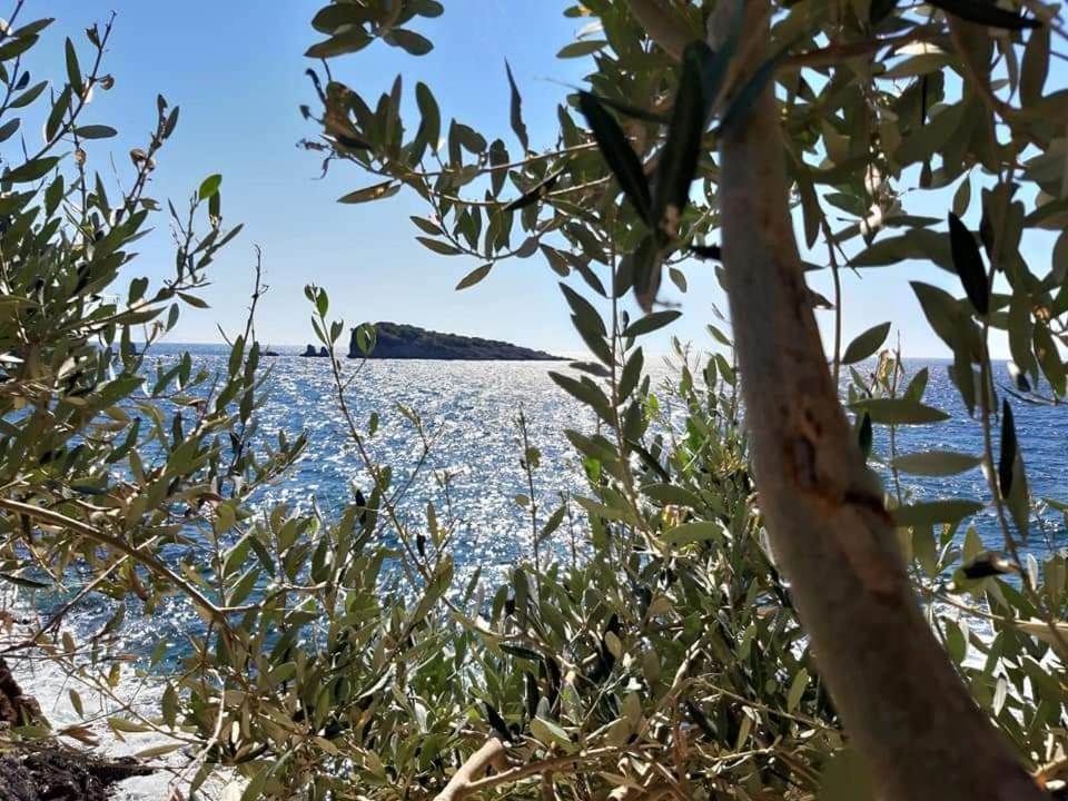 Apartments Marina يوتجيها المظهر الخارجي الصورة